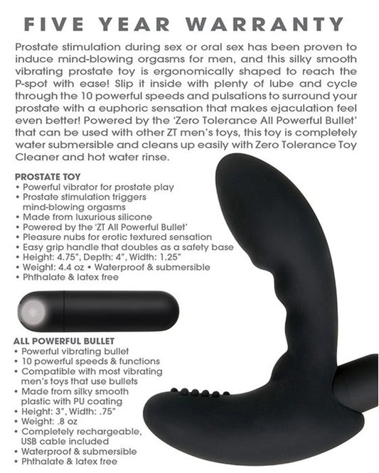 Zero Tolerance Eternal P-Spot prostate massager in black, product photo
