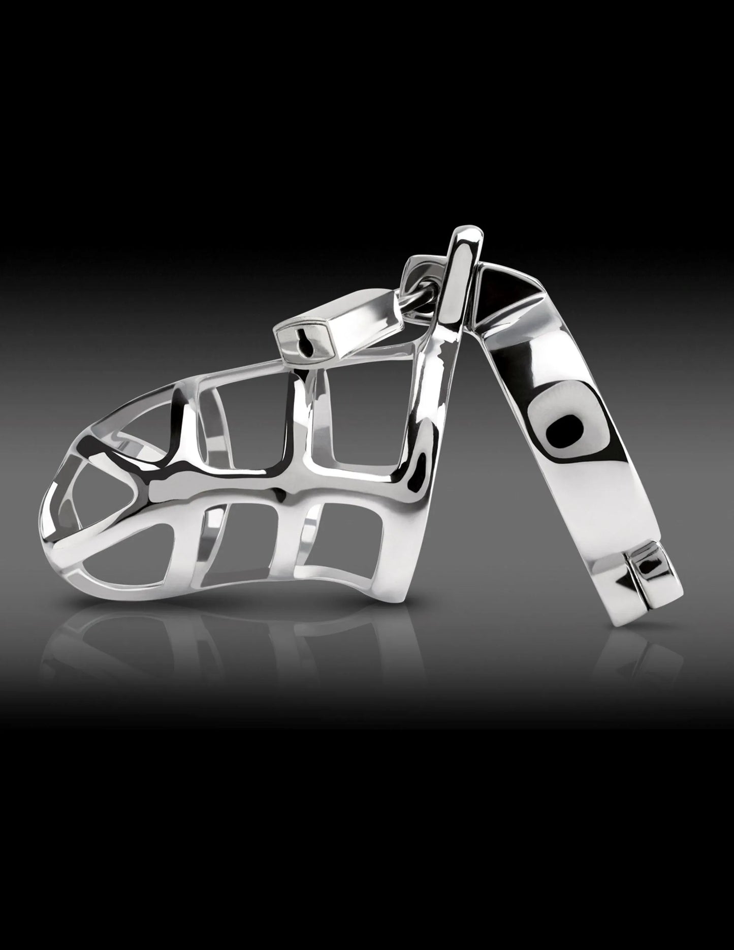 METAL WORX COCK CAGE