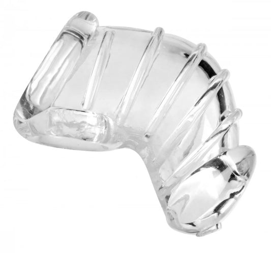MASTER SERIES DETAINED CHASTITY CAGE